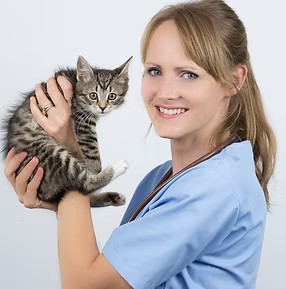 Lek. wet. Anna Gernat trzyma kota na rękach